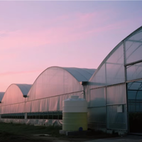Serre multispan à bas prix pour tomates Serre personnalisée Serres à cadre en acier galvanisé à chaud pour légumes