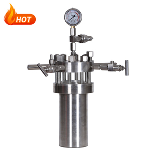 Autoclave de reactor de alta presión 1L para laboratorio químico con agitación magnética SS316L - Product Image 4