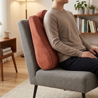 Coussin de soutien lombaire en mousse à mémoire de forme, housse amovible et lavable, coussin pour le bas du dos pour chaise de bureau, siège de voiture, CertiPUR OEKO OEM ODM