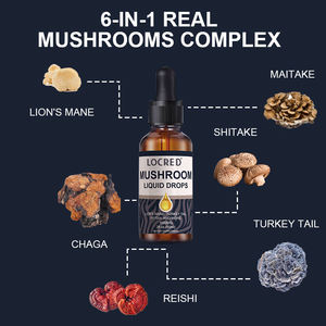 <span class=keywords><strong>Teinture</strong></span> liquide de champignons à marque privée – Complexe de 6 extraits de champignons biologiques (Crinière de lion, Reishi, Chaga) – Complément alimentaire - Product Image 4