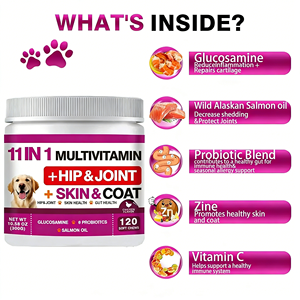 OEM/ODM 11 en 1, Golosinas Masticables Multivitamínicas para Perros y Gatos, Apoyo Inmunológico con Alto Contenido de Proteínas, Snacks de Entrenamiento de Rápida Absorción - Product Image 3