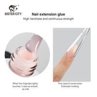 Gel d'extension d'ongles non toxique à marque privée 15 ml 48 couleurs DIY Gel de construction BIAB en bouteille pour designer français