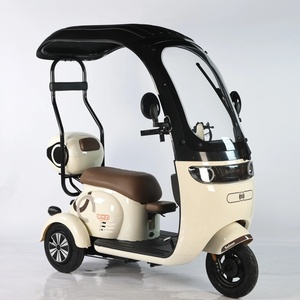 Hot Selling 48V 20Ah Carbon Steel Electric Tricycle 3-Wheel Scooter 600W <b>Power</b> for Passenger - Product Image 5