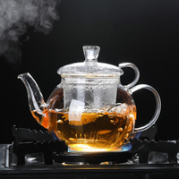 Théière en verre soufflé à la main NOVATIVE 300ML 700ML, écologique, résistante à la chaleur, transparente, avec infuseur en verre