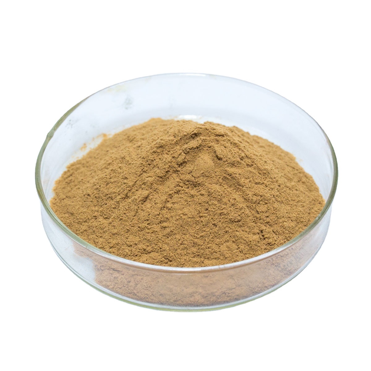 Дрожжи порошок. Powder extract. Powder extract. Бурый порошок. Yeast extract powder.