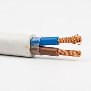 Câble de commande RVV à double conducteur 2 AWG en cuivre flexible avec gaine isolante en PVC 300V pour câblage d'équipements électriques CN - Product Image 5