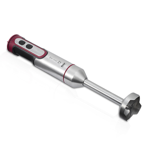 Nouveau Mixeur Plongeant Portable RAF 1600W en Acier Inoxydable avec 4 Lames pour Cuisine - Product Image 4