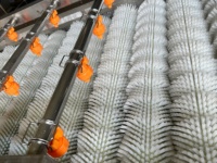 Fruit Parallel Borstelrolreiniger voor PlantSweet Aardappel/Uien/Walnoot/Wortel Borstelwasmachine Schrobmachine Reinigingsmachine
