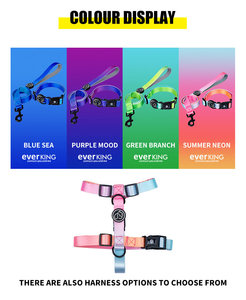 New Arrivals Pet <span class=keywords><strong>Products</strong></span> Personalized Dog Gradient Collar for Summer Activity - Product Image 2