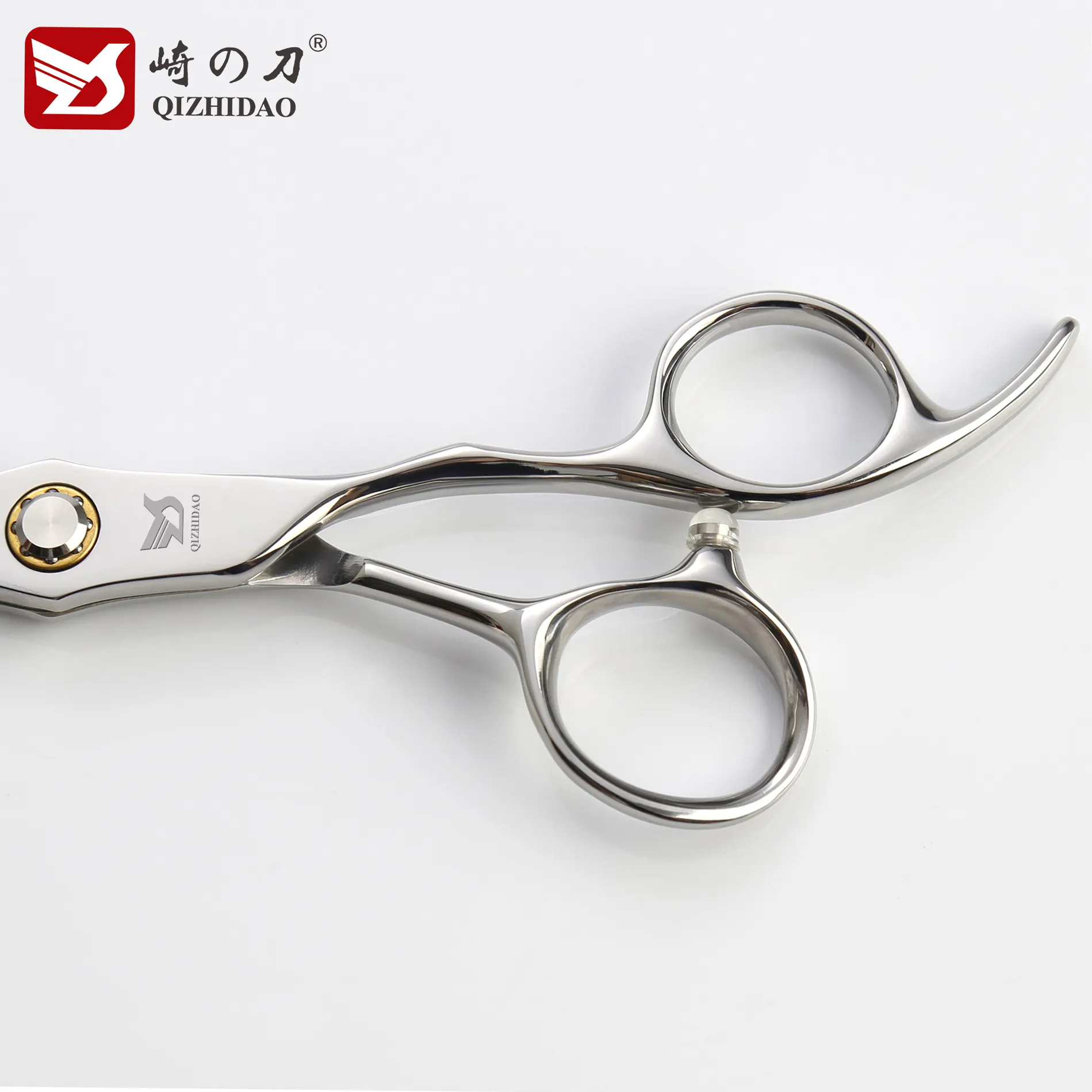 6.5 pouces japonais 440C acier ciseaux de coupe de cheveux ciseaux de coiffure professionnel ciseaux de coiffeur Salon cheveux ciseaux