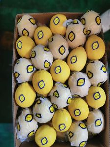 Bán buôn tươi Eureka chanh từ tự nhiên phát triển Trung Quốc, chất lượng cao và thấp-giá trái cây hữu cơ - Product Image 6