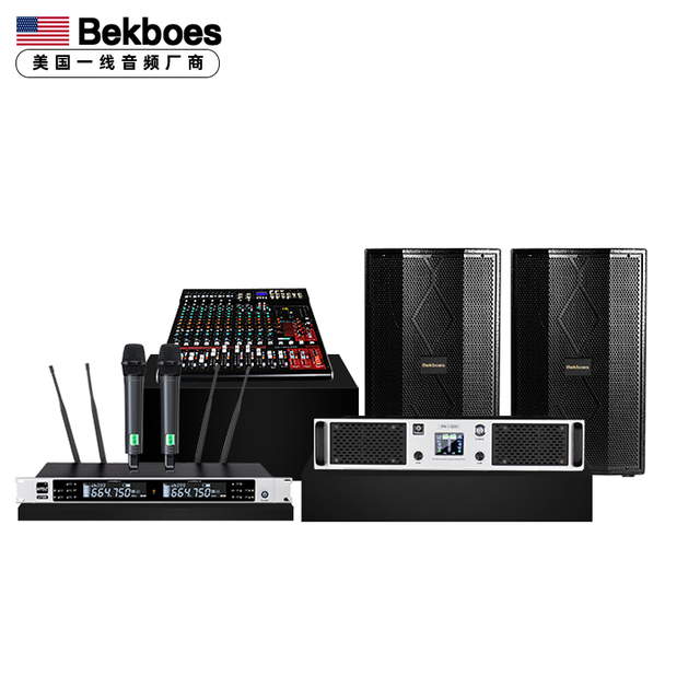 Bekboes WB8000 Series 12 Inches pa System Outdoor Speaker Concert Mixer Sound System Full Set for Stage Performance Wedding