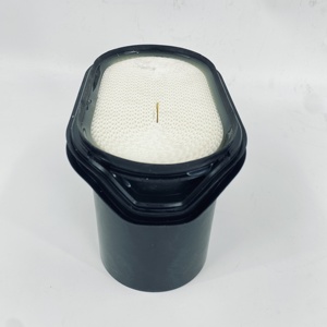 High Quality New Model <strong>Air</strong> <strong>Filter</strong> for Donaldon P957715 - Product Image 2