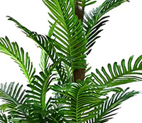 Usine de gros intérieur extérieur décoration bonsaï plante arbre grands faux pots arbres palmier artificiel