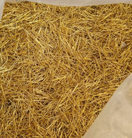 Broches plaquées or mélangées, broches de connecteurs électroniques de récupération pour la récupération de l'or, le recyclage des déchets électroniques et la raffinage des métaux précieux
