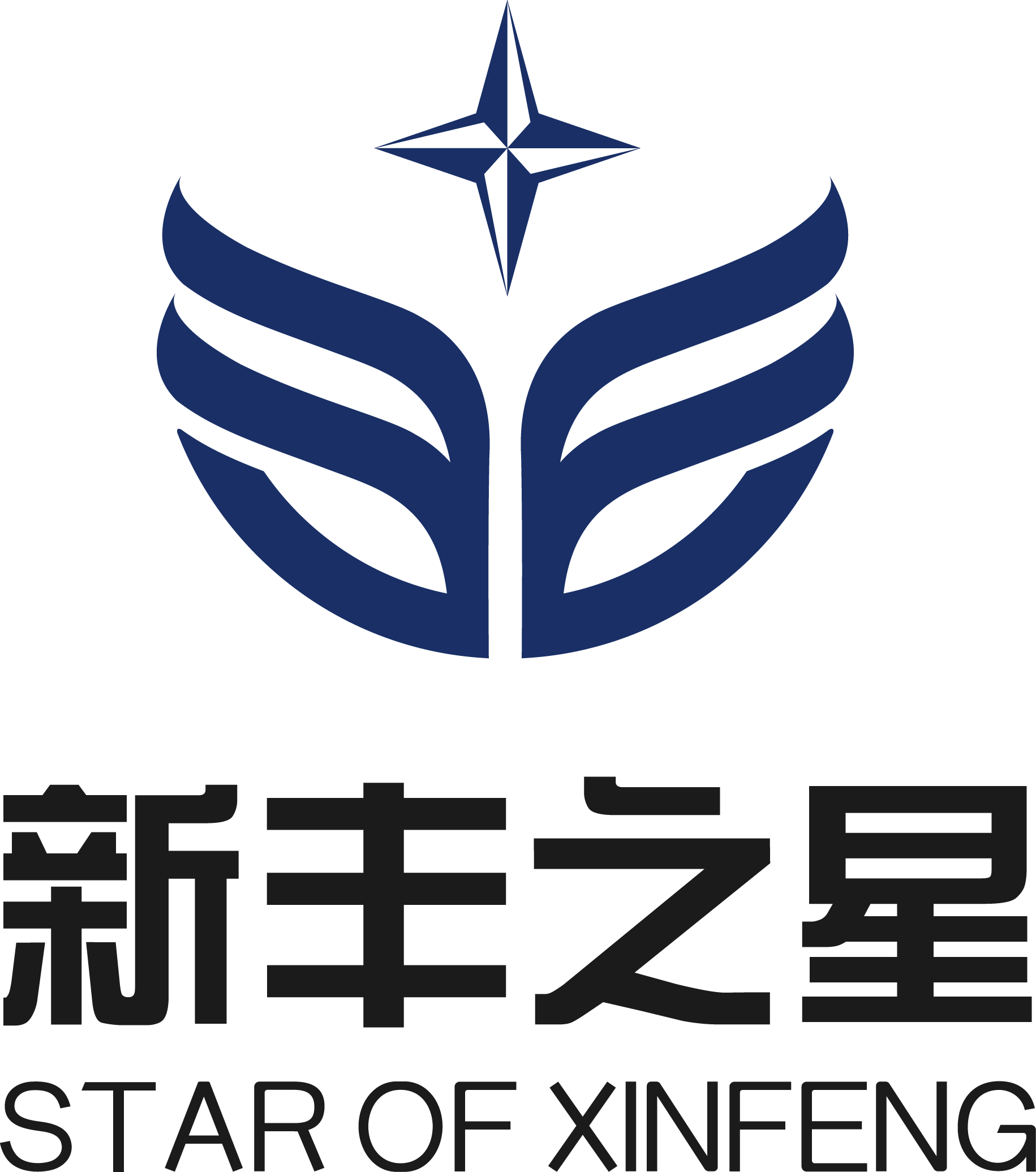 Jiangsu Xinfeng Star Film Materials Co., Ltd. logo
