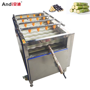 Multifunction Vegetable Sugar cane Parallel Roller Cleaning Machine High Pressure Spray Fruit Washing Machine