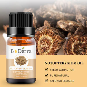 Китайское травяное 100% чистое и натуральное эфирное масло корня нотоптериума для снятия мышечной боли - Product Image 4