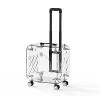 Sac de transport panoramique transparent en acrylique écologique pour animaux de compagnie, respirant et portable, grande capacité pour chats