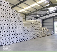 Panneaux muraux artificiels en polypropylène Always Green Grass, écologiques, haute densité, ignifuges, durables, modernes, pour aménagement paysager, 4 panneaux
