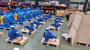 Bombas Centrífugas de Succión Axial de Fábrica, Bombas Horizontales de Hierro/Acero al Carbono/Hierro Dúctil/Acero Inoxidable, 60Hz 50Hz - Product Image 5