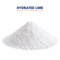 Poudre de chaux hydratée ZL pour peinture architecturale Ca(OH)2 92% Min Haute pureté 325 Mesh Zhejiang Chine