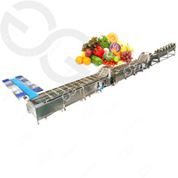 Machine à laver de légumes, stérilisation à l'ozone, appareil de nettoyage de pommes de terre, gingembre, tomate sèche, Machine pour l'ail