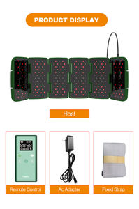 Lastek 인간 동물 의료용 적외선 광선 레이저 통증 완화 관절염 상처 치유 치료기 도매상 - Product Image 5