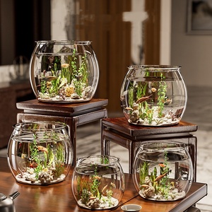 Bể cá bụng tròn trong suốt sử dụng hộp lưu trữ sinh thái nhỏ cho đời sống thủy sinh - Product Image 6