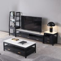 Salon avec réfrigérateur, 10 pièces, gain de place, table basse de créateur européenne avec plateau en bois en marbre