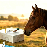Gel nutritionnel probiotique aromatisé à la pomme pour chevaux - Mélange nutritionnel sans céréales - Commandes en gros personnalisées