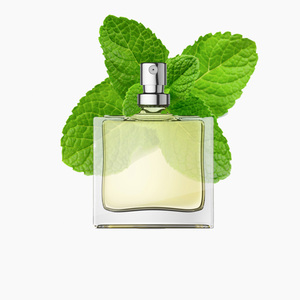 น้ำหอมกลิ่นขาว Bvlgari น้ำมันหอมระเหยบริสุทธิ์ติดทนนานตัวทำละลายน้ำหอมรถยนต์ - Product Image 2