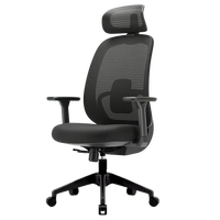 Chaise de bureau exécutive en maille haut de gamme avec accoudoirs réglables, base métallique durable, dossier haut ergonomique inclinable, respirante et robuste pour adultes