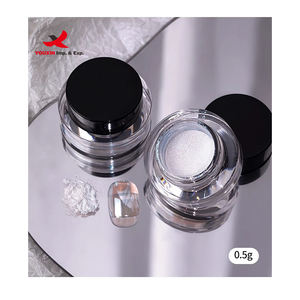 Moonlight <b>Mirror</b> <b>Glitter</b> Powder Net-0.3g 0.5g Metallic Silver Effect Chrome Powder 1*Jar Aurora Magic <b>Mirror</b> Manicure Powder - Product Image 3