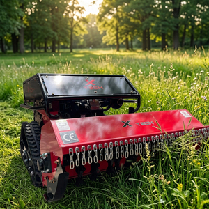 High Power Brand New Engine Remote Control Lawn Mower <strong>Grass</strong> Cutting Agricultural 800mm 1000mm <strong>Flail</strong> Lawn Mower - Product Image 1