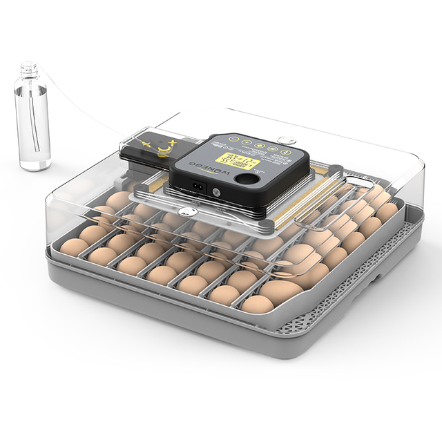 Wonegg Fully Automatic Electric Dual Power 12V DC 110V 220V AC Power Egg Incubator for Duck Goose Chicken Egg Hatching