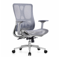 Chaise ergonomique grise avec support lombaire réglable, chaises de bureau pour les professionnels, base en aluminium, chaise de travail en maille métallique