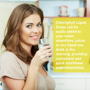 Venta Directa de Fábrica: Gotas Líquidas de Clorofila con Clorofilina que Promueven una Digestión Saludable y Apoyan la Salud Inmunológica - Product Image 4