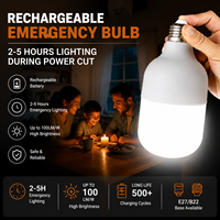 Ampoule d'urgence rechargeable à induction, autonomie 2-5h, éclairage en cas de panne de courant, E27, plastique, intensité réglable, garantie 2 ans, vente en gros OEM