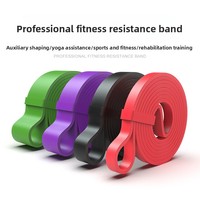 Bande de Résistance Élastique en TPE pour Adultes, Ensemble de Quatre Pièces, pour Exercices de Yoga et Fitness, avec Poids Intégrés