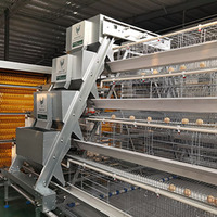 Équipement de ferme avicole Offre Spéciale pondeuse poules système de cage couche batterie cage à poulets