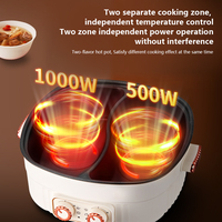 Marmite Électrique Multifonction Double Bol Antiadhésive Température Réglable