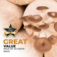 Sacs de culture de champignons extra épais 13x4x4 avec filtre de 0,2 m pour mycélium de seigle et substrat, pour le shopping ou les cadeaux