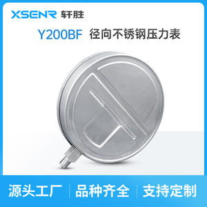 Manomètre en acier inoxydable Xuansheng Y200, 200 mm, précision 1,6, connexion filetée pour chaudières à vapeur - Product Image 5
