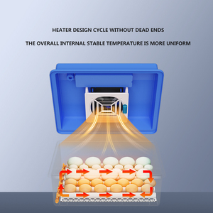 Vendita di prodotti a caldo 16-36 Mini <span class=keywords><strong>incubatrice</strong></span> automatica <span class=keywords><strong>per</strong></span> uova di tacchino di struzzo d'oca di pollo nuove attrezzature <span class=keywords><strong>per</strong></span> l'agricoltura - Product Image 6