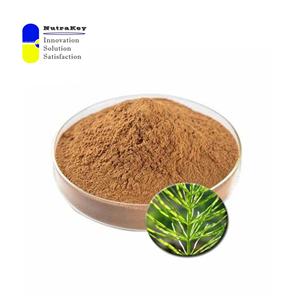 Premium atkuyruğu özü tozu <span class=keywords><strong>7%</strong></span> silika | Gıda sınıfı organik Equisetum Arvense tozu | Doğal saç, cilt ve kemik desteği - Product Image 2