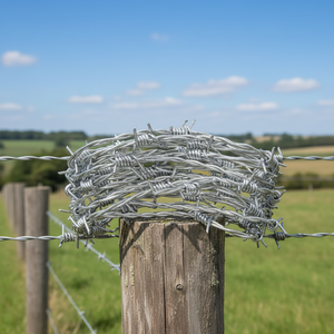 Alambre de Púas de <span class=keywords><strong>Torsión</strong></span> Inversa Directo de Fábrica, <span class=keywords><strong>Precio</strong></span> Bajo, Alta Calidad - Product Image 1