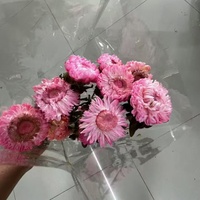 Bunga kering krisan aster warna-warni buatan tangan, bunga kering abadi tahan lama 3-5 Hari Valentine