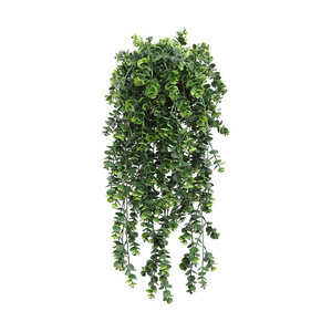 Plante murale artificielle suspendue <span class=keywords><strong>en</strong></span> plastique, type Mandala, <span class=keywords><strong>en</strong></span> <span class=keywords><strong>pot</strong></span>, ne s'érèche pas, couronne de fleurs vertes décorative pour intérieur et extérieur - Product Image 5