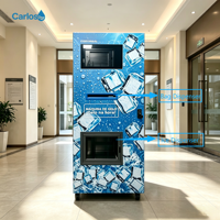 Distributeur automatique de glace 24h/24, résistant aux intempéries, installation facile, pour la communauté